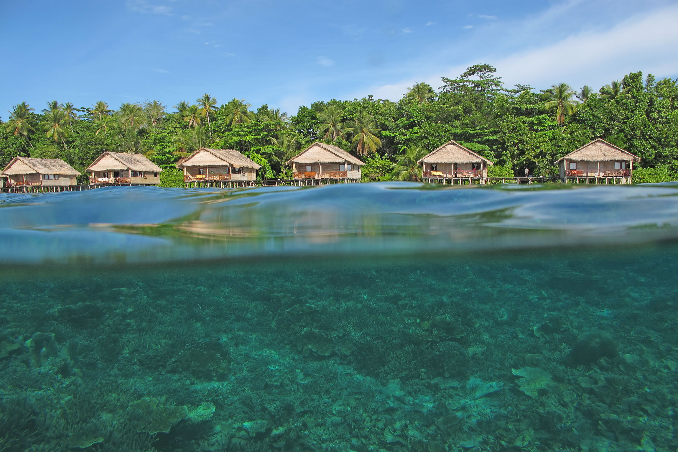Misool Island (South Raja Ampat)